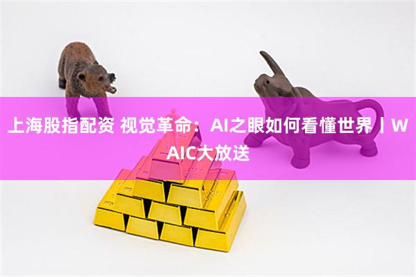 上海股指配资 视觉革命：AI之眼如何看懂世界丨WAIC大放送